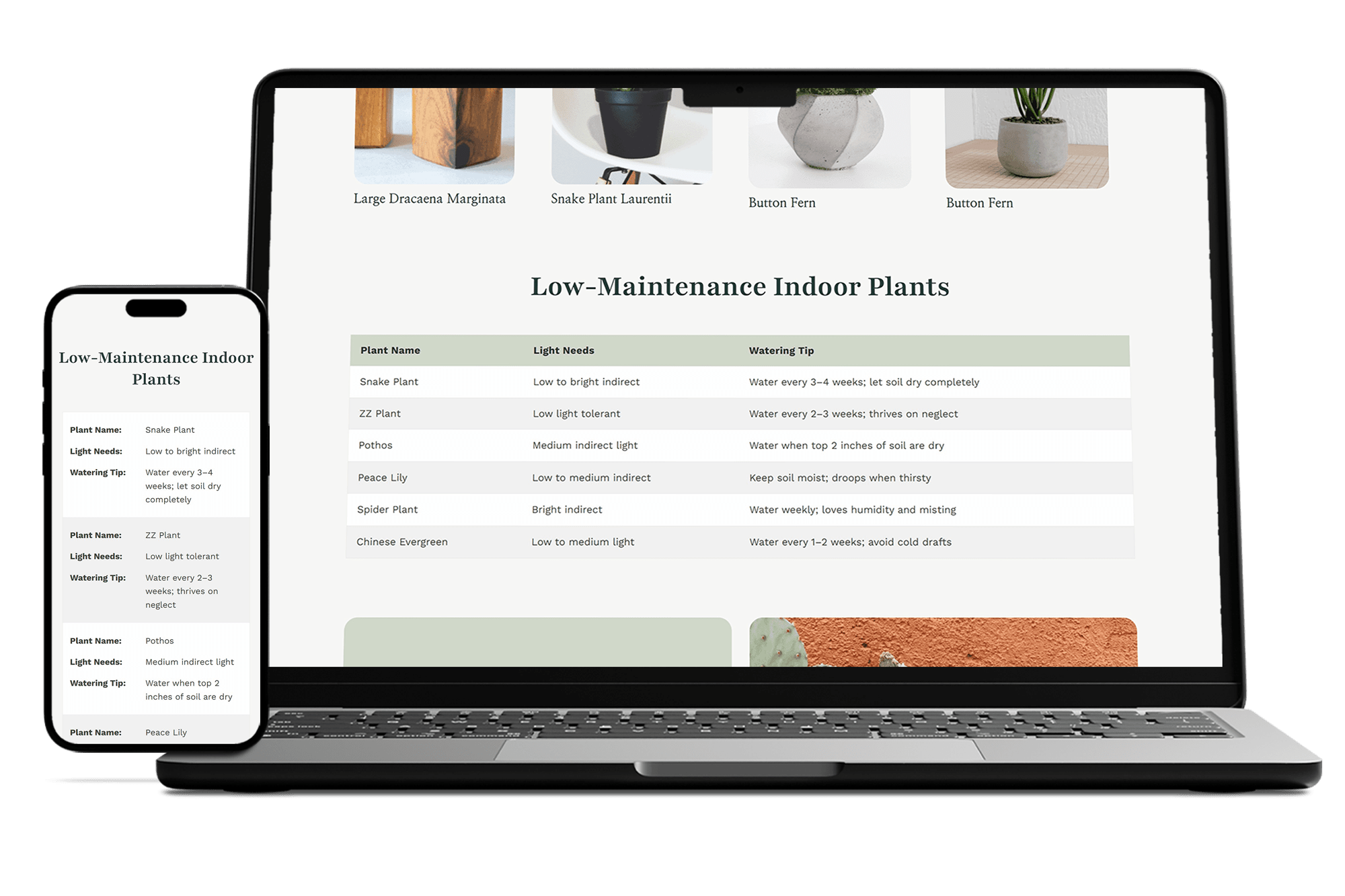 Flexibles (Responsive WordPress Tables) on laptop and mobile